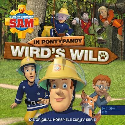 Folgen 53-57: In Pontypandy wird's wild (Die Original-Hörspiele zur TV-Serie) - Stefan Eckel,Jakob Riedl,Ulrich Georg, Audio, 4029759220831