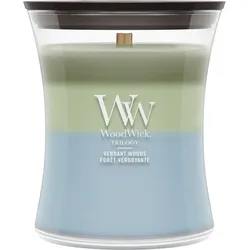 WoodWick Trilogy Verdant Woods Kerze, mittel
