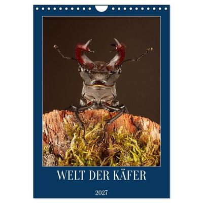 Welt der Käfer (Wandkalender 2027 DIN A4 hoch), CALVENDO Monatskalender