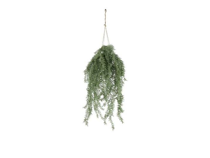 Countryfield zijden Asparagus hangplant 85 cm groen
