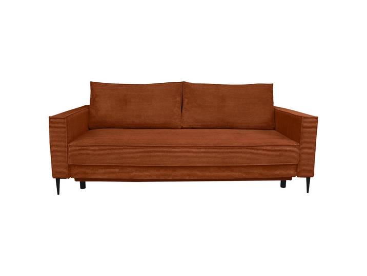 Carryhome Schlafsofa, Rost, Metall, 2-Sitzer, Füllung: Schaumstoff, 222x93x98 cm, Liegefunktion, Rücken echt, haustierfreundlicher Bezug, Wohnzimmer, Sofas & Couches, Schlafsofas, Schlafsofas mit Bettkasten
