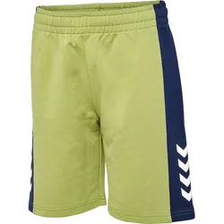 HUMMEL hmlRUSH BLOCK SHORTS green olive 110