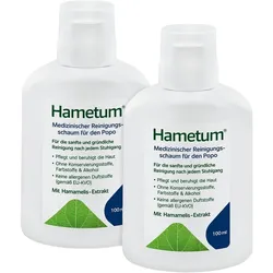 Hametum Reinigungsschaum Set 2X100 ml