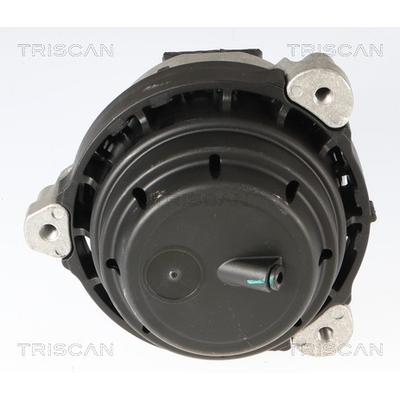 TRISCAN Lagerung, Motor 850511124 für BMW