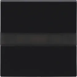 Busch-Jaeger Busch-Komfortschalter flex mit Orientierungslicht 64765-45M