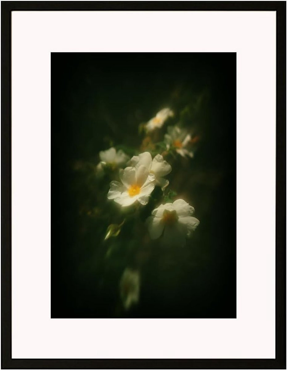 Fine Art Fotografie Wandkunst Limited Edition Summer in Natuurlijke Tonen B: 82.6 cm, H: 62.2 cm