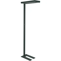 Maul, Stehlampe, LED-Standleuchte MAULjuvis, dimmb., Bewegungs-/Lichtsensor (7200 lm)