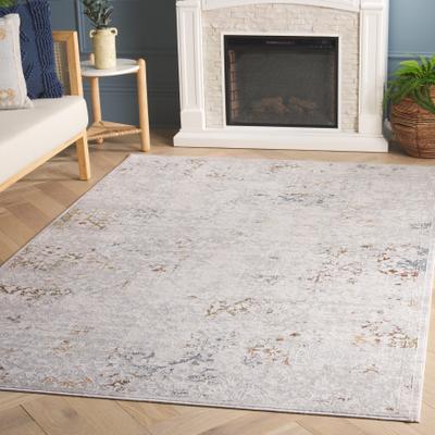 SAFAVIEH Princeton Remedios Vintage Rug