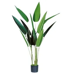 meet Kunstpflanze »Paradiesvogelblume« 140 cm, 140 cm