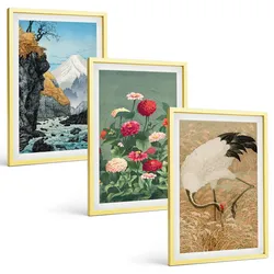 BILDER SET 3er Set - 40x60 cm Goldrahmen - Berglandschaft, Fluss, Blumen, Kraniche