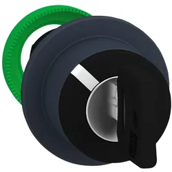 Schneider Electric Schlüsselsch. Frontelem. ZB5FG02D