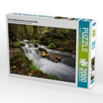 CALVENDO Puzzle Der Brühlbach bahnt sich seinen Weg | 2000 Teile Lege-Größe 90 × 67 cm Foto-Puzzle für glückliche Stunden