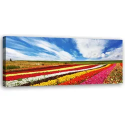 WANDBILD feld mit bunten tulpen