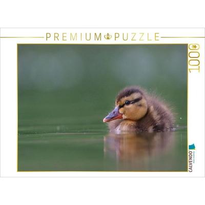 CALVENDO Puzzle Stockente (Mallard) | 1000 Teile Lege-Größe 64x48cm Foto-Puzzle für glückliche Stunden