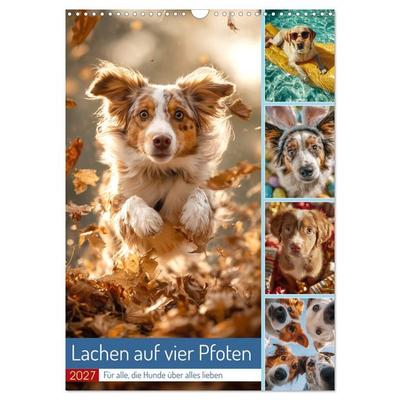 Lachen auf vier Pfoten (Wandkalender 2027 DIN A3 hoch), CALVENDO Monatskalender