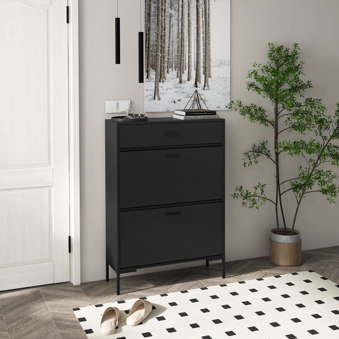 Latitude Run Shoe Storage Cupboard with 2 Flip Doors Black 12