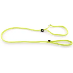 Martin Sellier Erziehungsleine für Hunde klassisch Nylon (One Size, Hund, Allgemein, Spazieren), Halsband + Leine