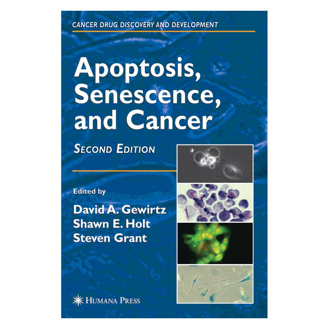 Springer Apoptosis, Senescence and Cancer (Englisch, Softcover, David A. Gewirtz, Shawn E. Holt, Steven Grant) (55379325)