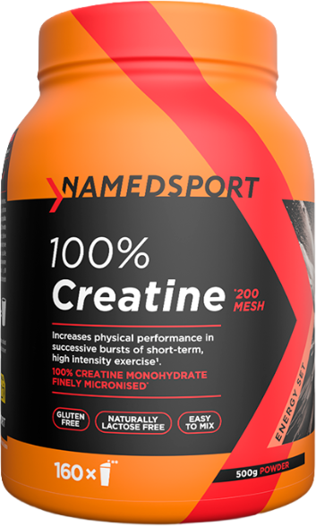 NAMED SPORT 100% Creatine 500 Grammi 