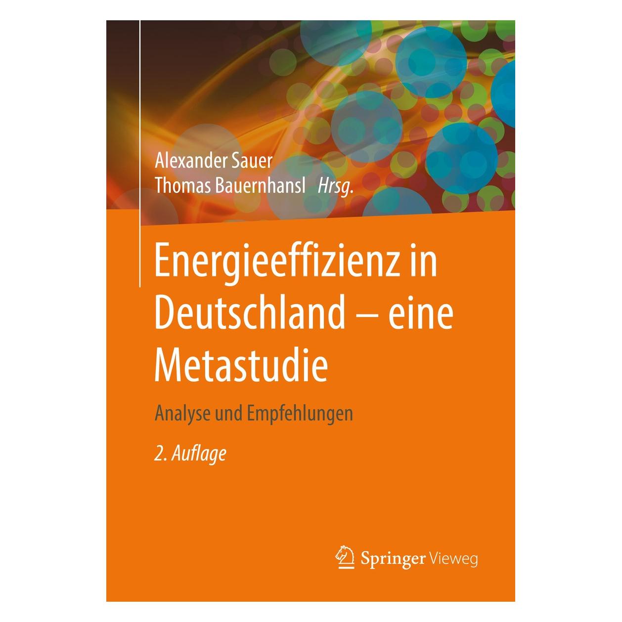 Springer Energieeffizienz in Deutschland - eine (9783662488829)