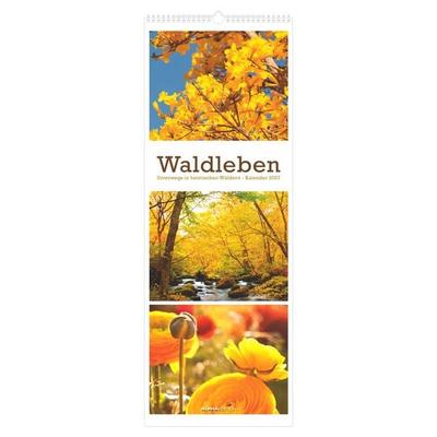 Waldleben - Triplets 2027