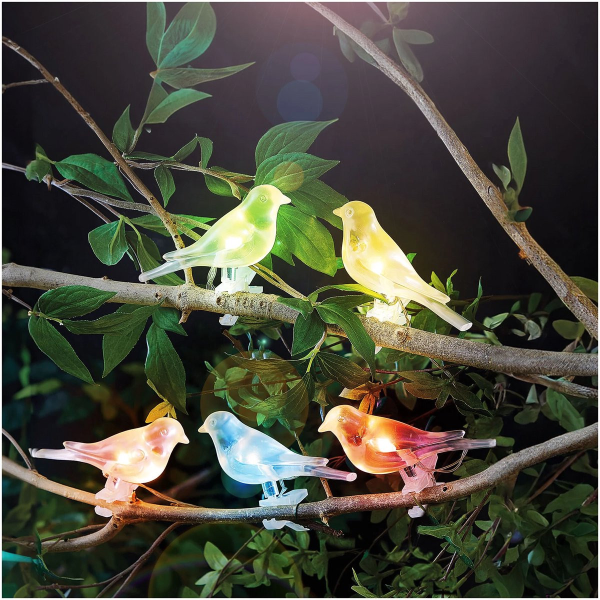 Garden Of Eden Solar lichtsnoer met vogel en clip-on, 80 cm, 5 kleuren RGB LED