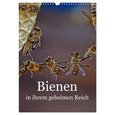 Bienen in ihrem geheimen Reich (Wandkalender 2027 DIN A3 hoch), CALVENDO Monatskalender