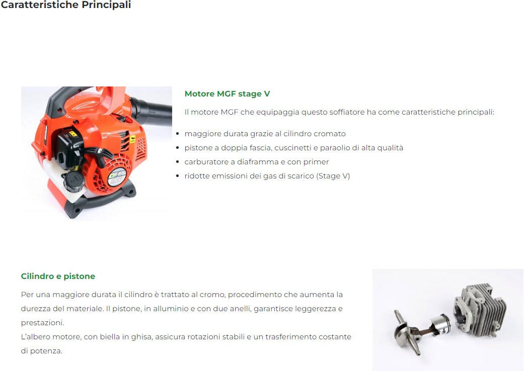 MGF SM260 Soffiatore soffiafoglie a scoppio