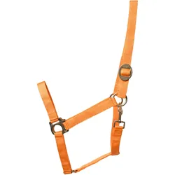 ELDORADO Pferde-Halfter standard - orange - Pony