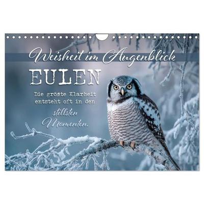 Eulen - Weisheit im Augenblick (Wandkalender 2027 DIN A4 quer), CALVENDO Monatskalender