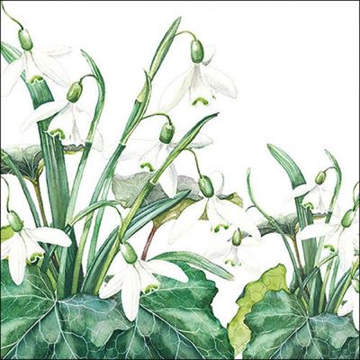 Ambiente 20 Servietten Papier 33x33cm 3-lagig - hochwertige Einweg Papierservietten Schneeglöckchen Motiv Partyservietten Blumen Tischdeko Frühling Sommer