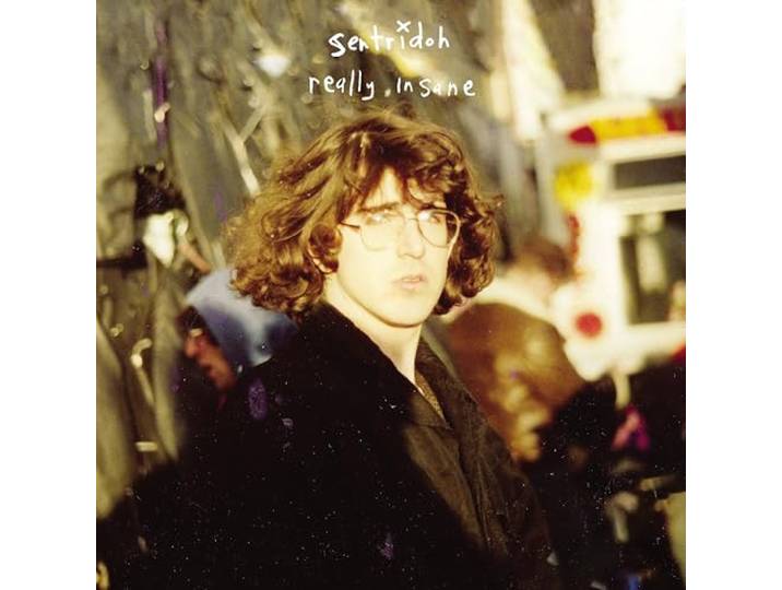 Really Insane: A Lou Barlow Compendium