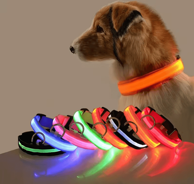 Uplift Curations Nylon Luminous Dog Leash And Glow In The Dark Dog Collar LED Safety Pet Leash For Night Walking black m
