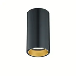 Baulmann Deckenaufbauleuchte 83.129, GU10, schwarz/gold BAU-83.129.57
