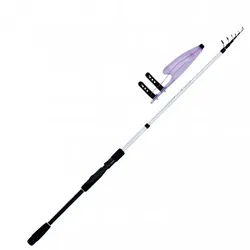 WFT Raubfischrute Pro Tele Spin Spin 60, Spin 60 / 300cm 10-60g