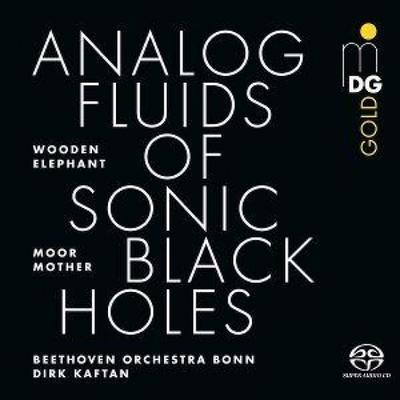 Analog Fluids of Sonic Black Holes - Moor Mother,Wooden Elephant,Beethoven Orchester, CD