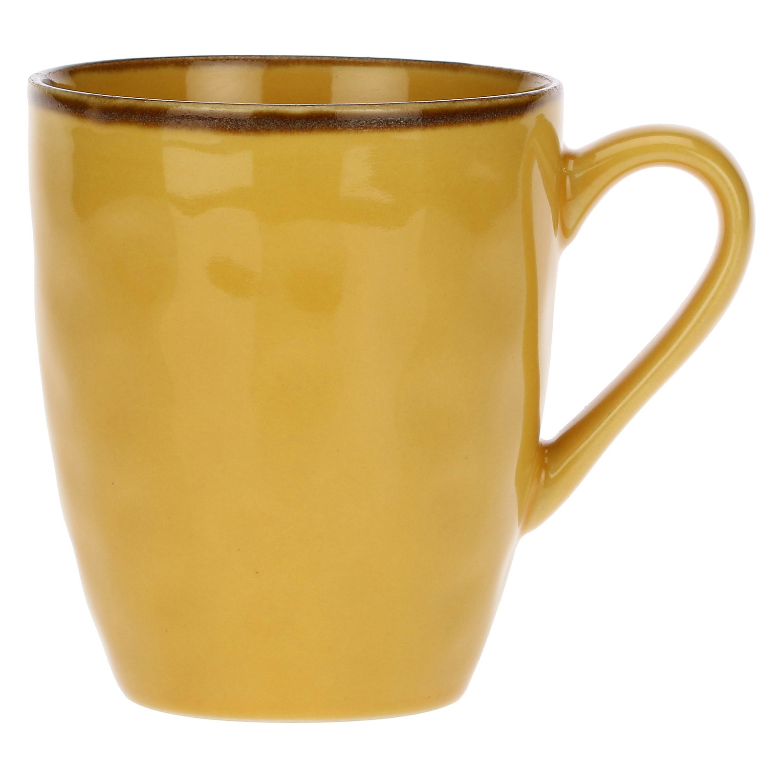 Rose & Tulipani Concerto Ocra Mug R134300149