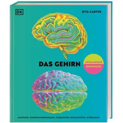 Das Gehirn, Ratgeber von Rita Carter
