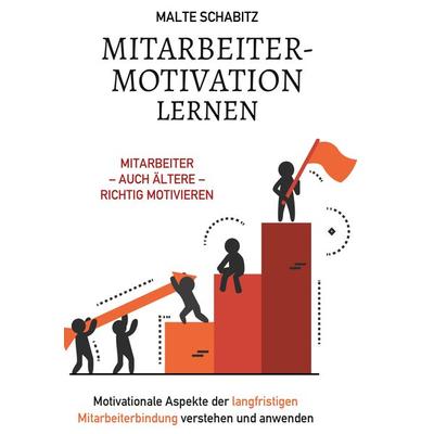 Mitarbeitermotivation lernen, Taschenbuch von Malte Schabitz, Lucid Page Media, 978-3-9893550-0-2