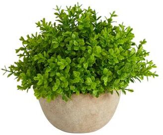 Nearly Natural "5"" Boxwood Artificial Plant in Decorative Planter"