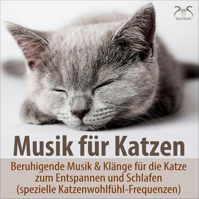 Musik für Katzen - Beruhigende Musik & Klänge für die Katze zum Entspannen und Schlafen - Torsten Abrolat, Audio, 4066004898469