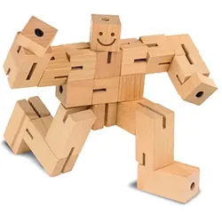 Fridolin IQ-Test Puzzle-Boy