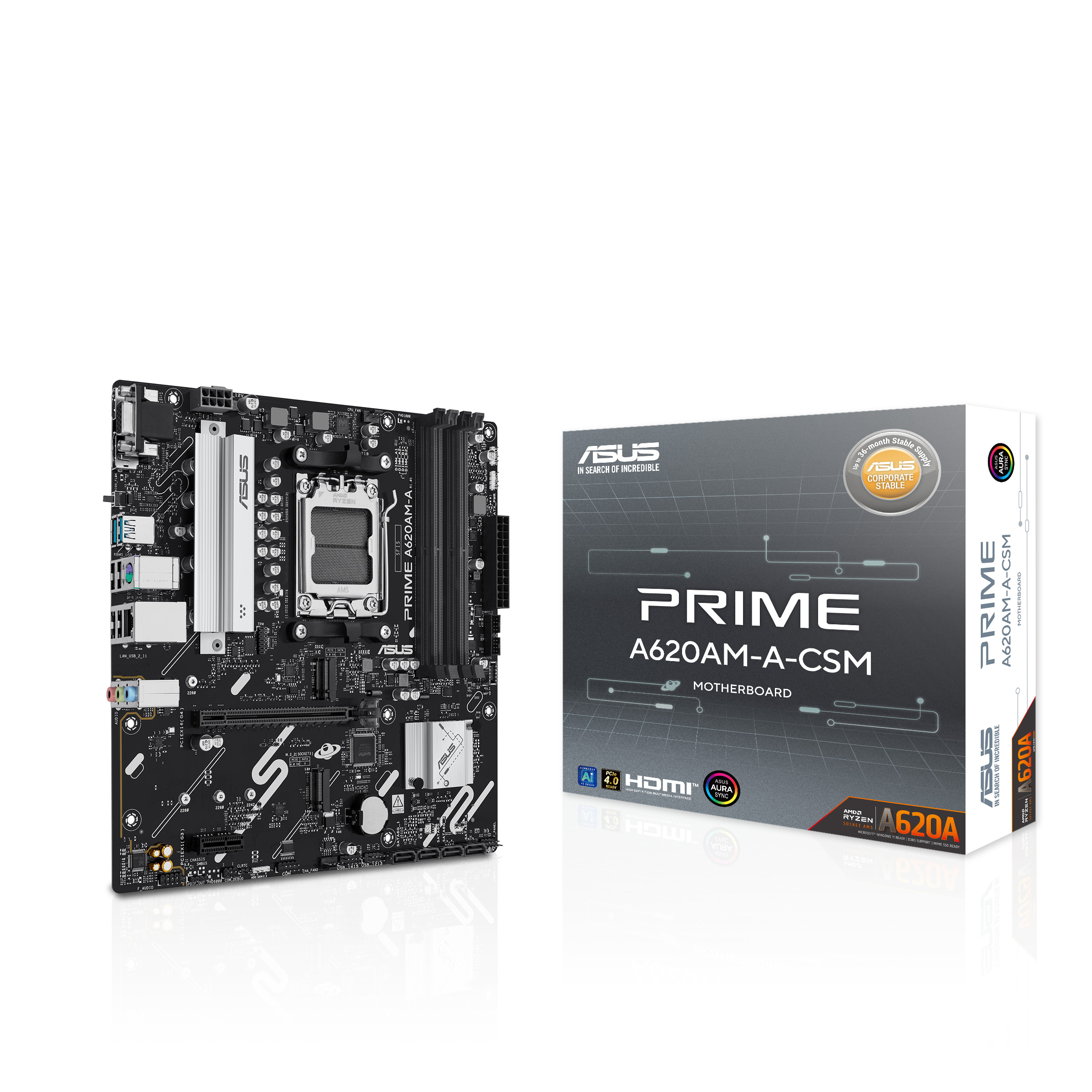 ASUS PRIME A620AM-A-CSM Micro-ATX Mainboard - Sockel AM5
