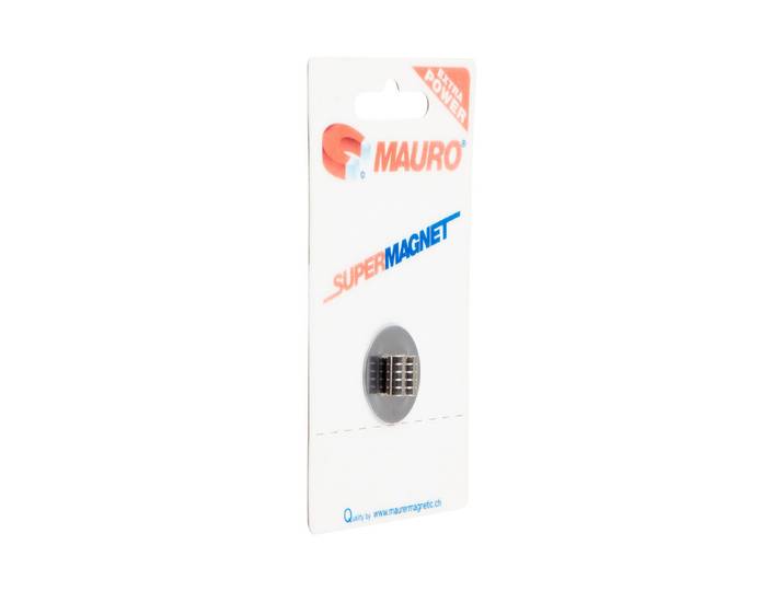 Scheibenmagnet Neodym 5 × 2 mm 10 Stück