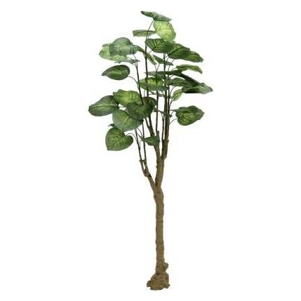 Europalms Pothosbaum, Kunstpflanze, 175cm (175 cm) (82600163)
