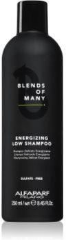 Alfaparf Milano Blends of Many Energizing champô energizante para cabelo fino e sem volume 250 ml. Blends of Many Energizing