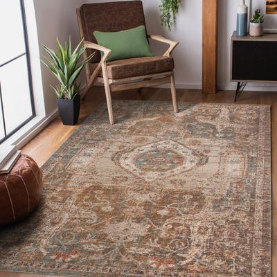 Amer Rugs Ethereal May Vintage Medallion Brown/Orange Area Rug
