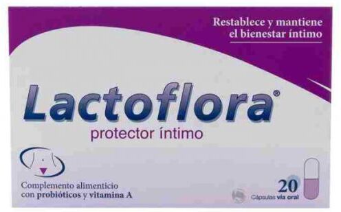 Stada Lactoflora Intimate Protector 20 capsules
