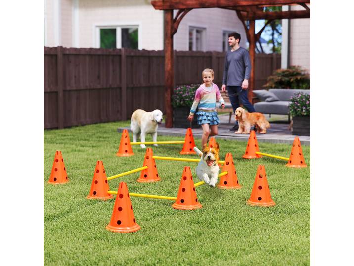 PawHut Agilité Chien 6 Pièces Obstacles Réglables + Sac Orange