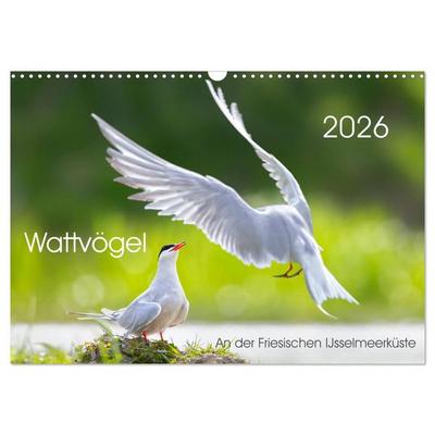 Wattvögel an der Friesischen IJsselmeerküste (Wandkalender 2026 DIN A3 quer), CALVENDO Monatskalender